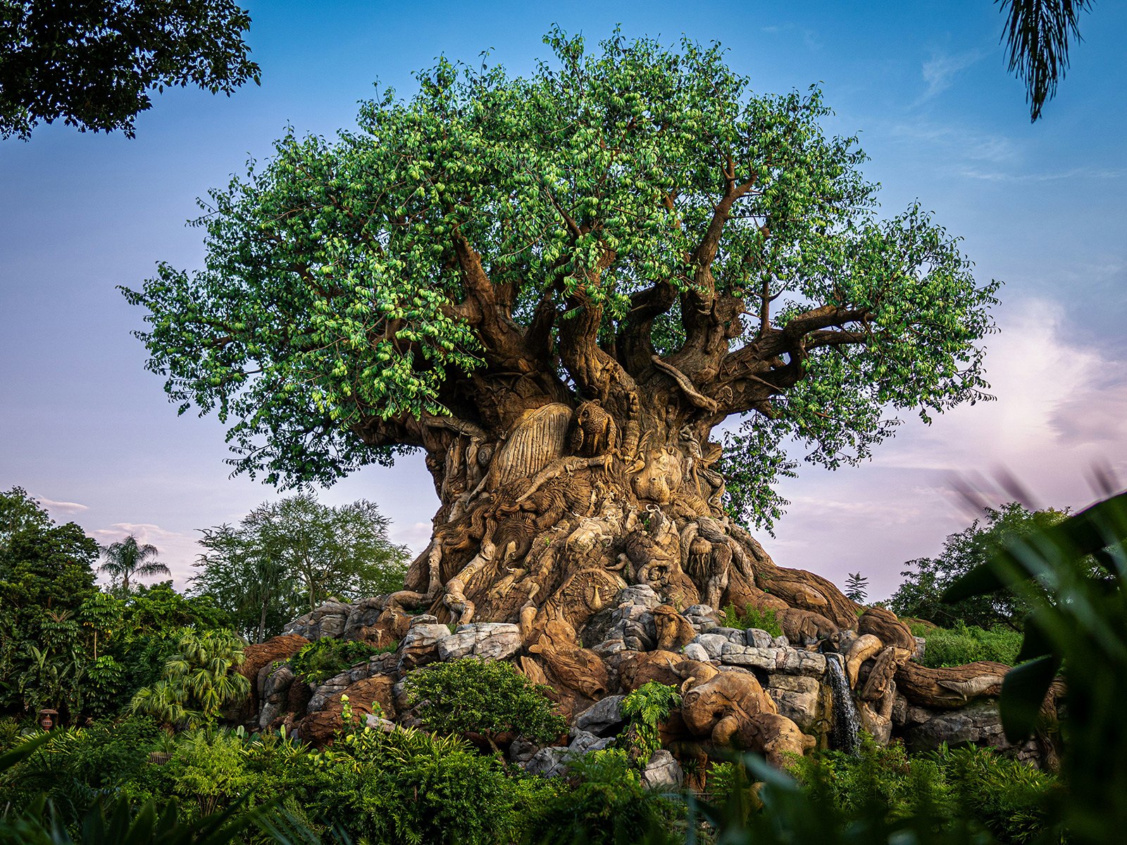 Disney's Animal Kingdom