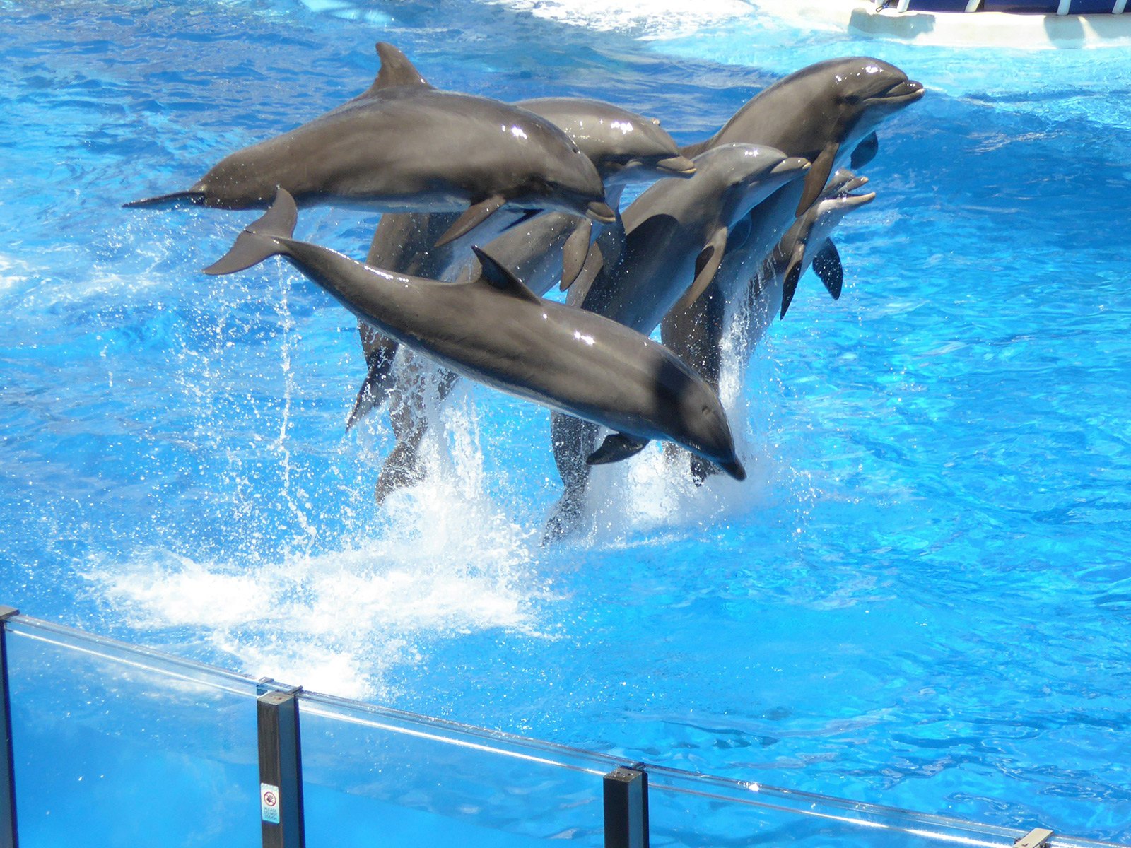 SeaWorld Orlando