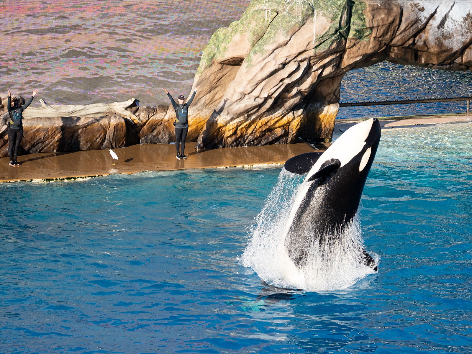 SeaWorld San Diego
